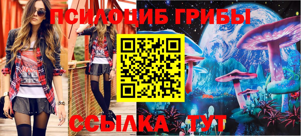 Псилоцибиновые грибы Psilocybine cubensis Кропоткин